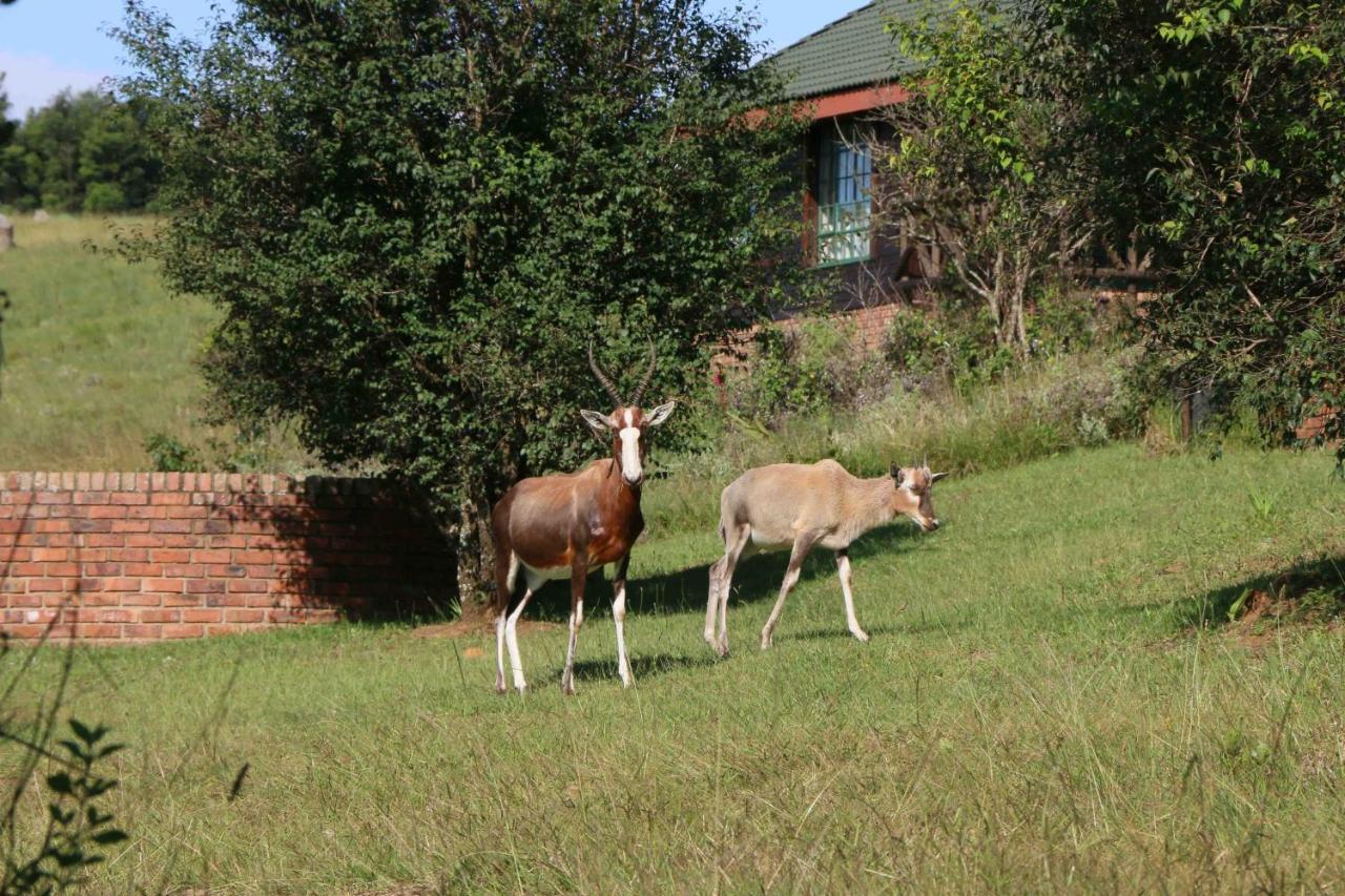 Malolotja Log Cabins Mbabane Exterior photo